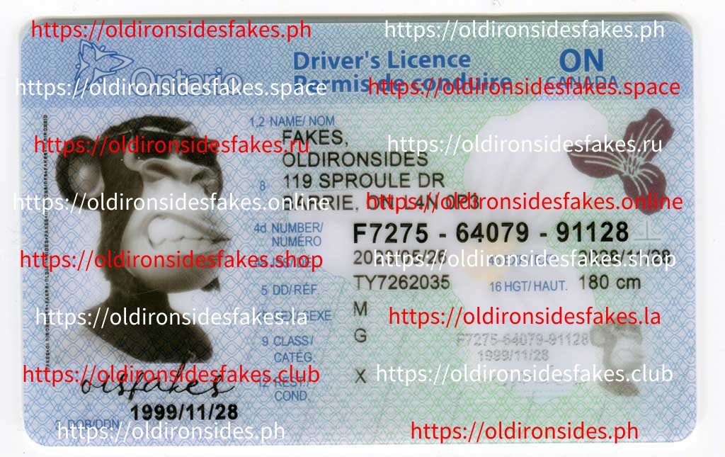 OldIronsidesFakes IDs - Order Scannable Fake ID Cards